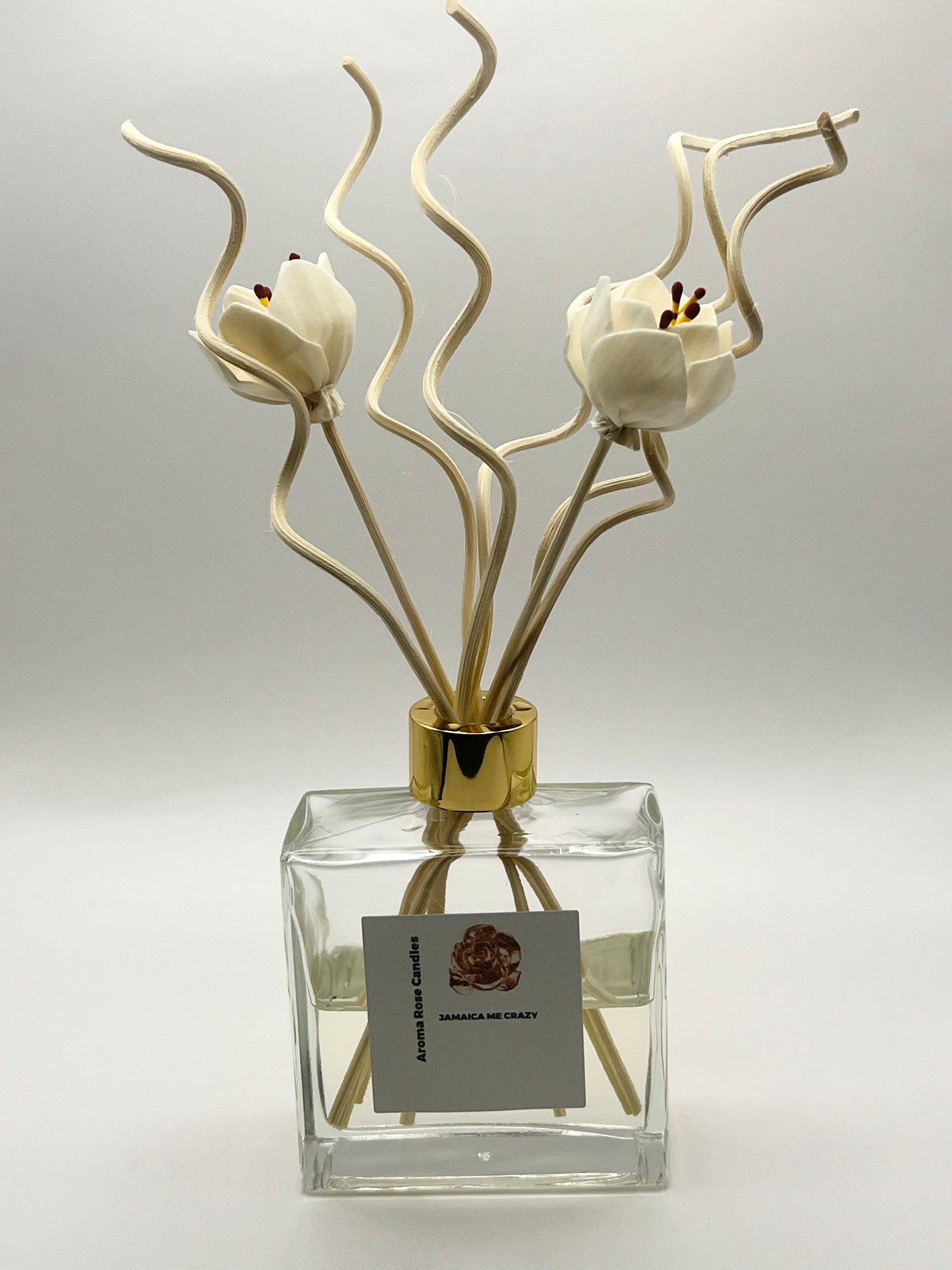 Square Reed Diffuser